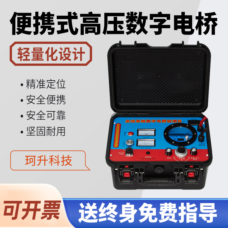 山亭区高压脉冲定点仪路径探测仪 - 一站式服务